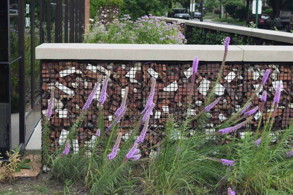 Blazing star in front of a wall built with construction debris.