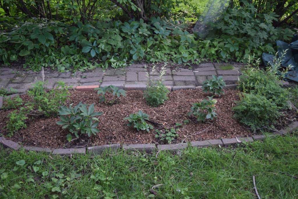 Still a lot of filling in to be done.