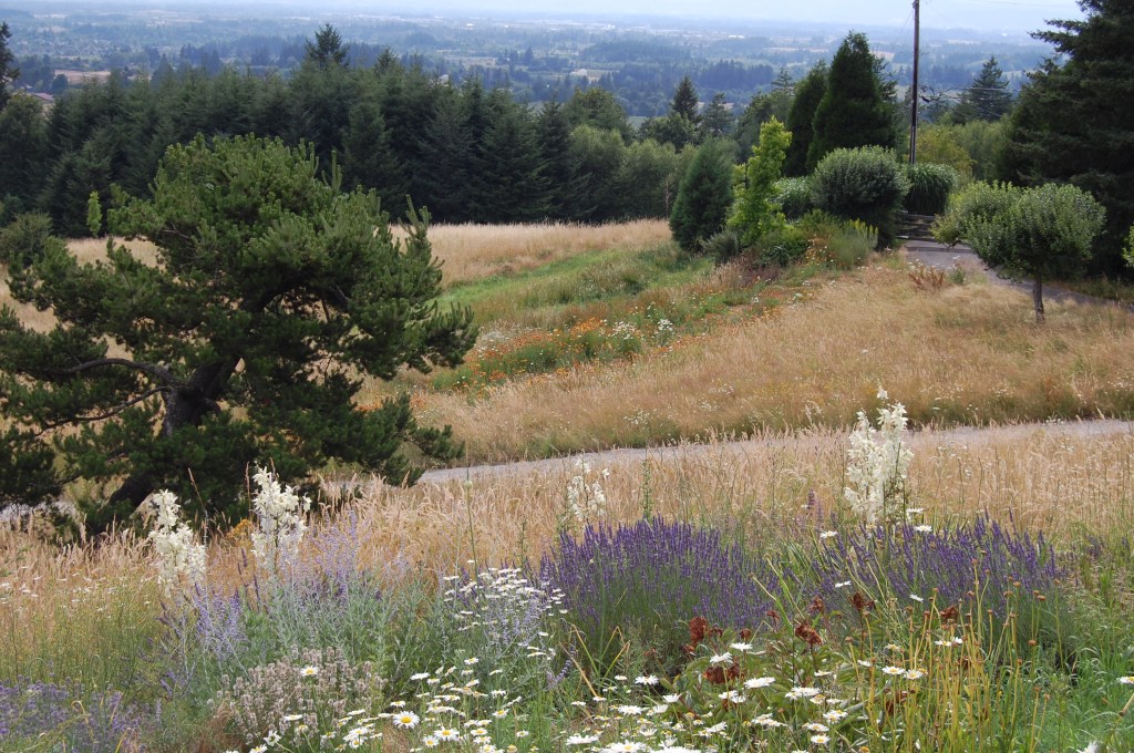 A meadow garden slopes gently downward to deep green woods.