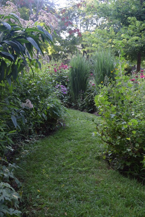 2014-08-09 17.53.05 path between island bed and sidewalk border