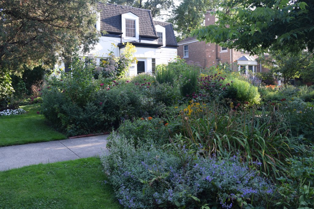 View of our house from the street.