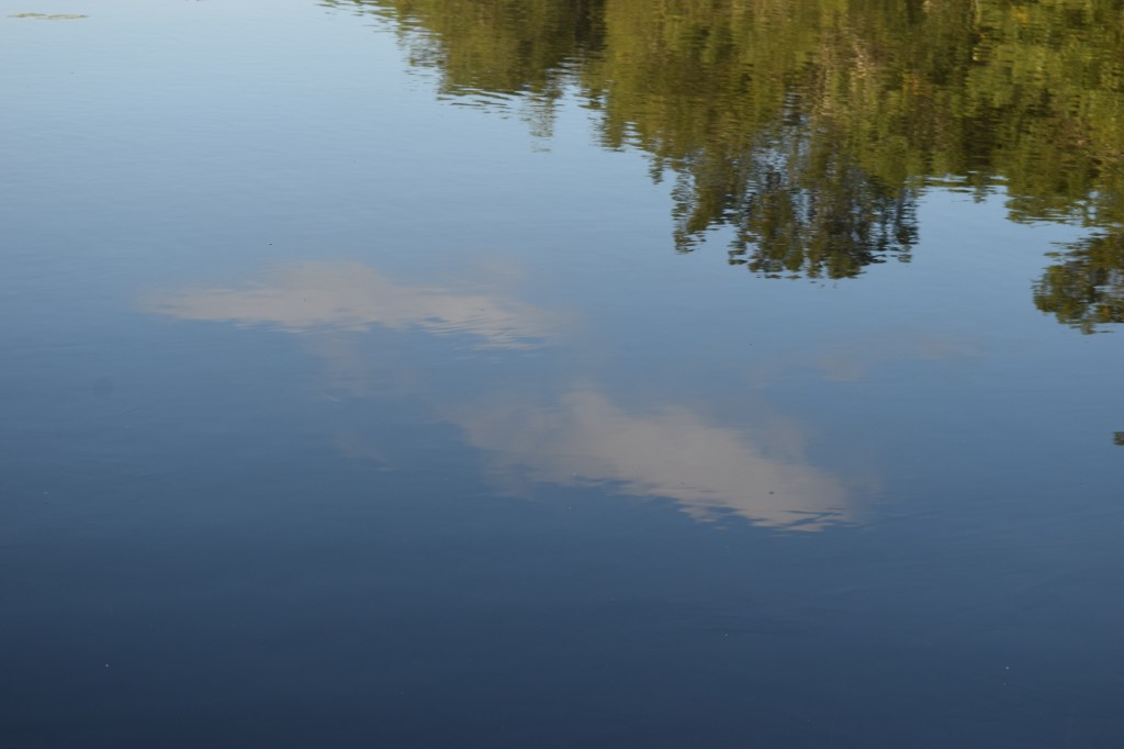 2014-09-18 17.48.54 wisconsin