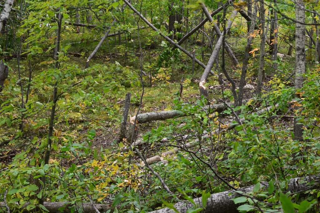 I mean, really, look at this.