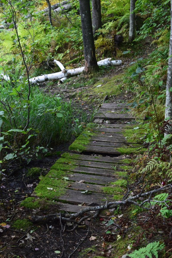 2014-09-19 14.22.13 hunt hill moss