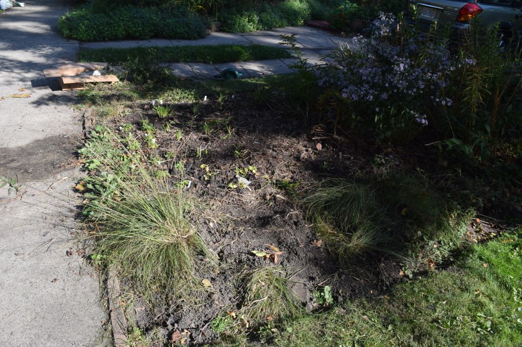 The Left Bank at the end of the day.