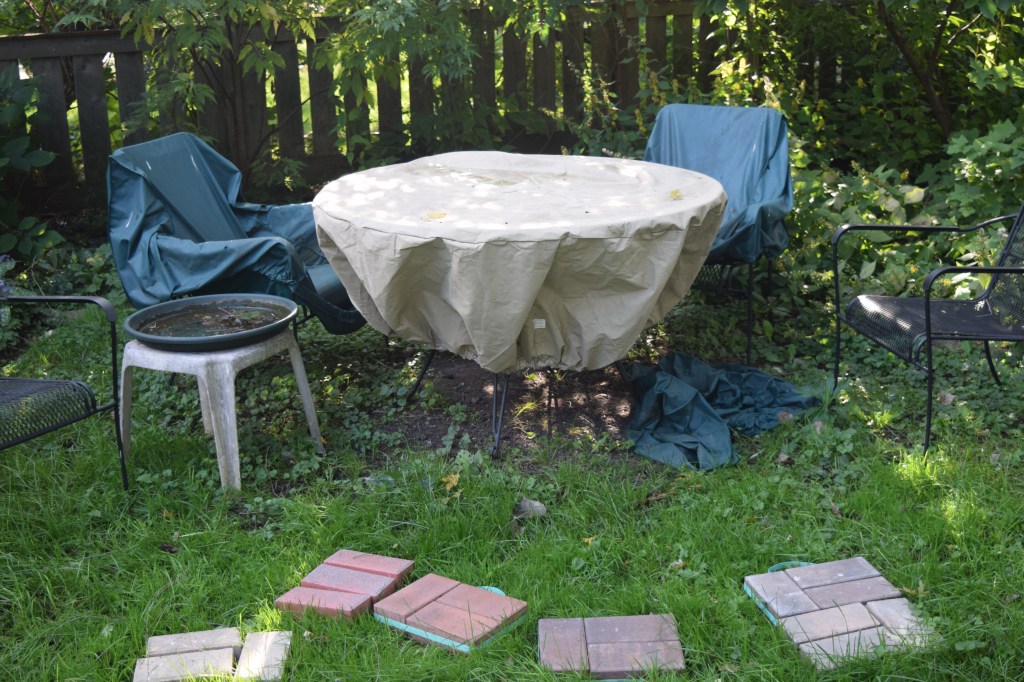 Before the patio. Those are paver samples in front of the table. Everything is covered, of course.
