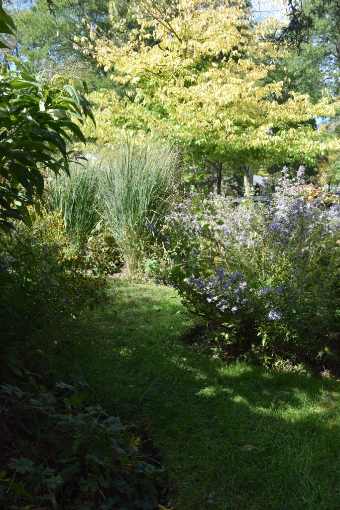 2014-10-05 14.05.34 front garden