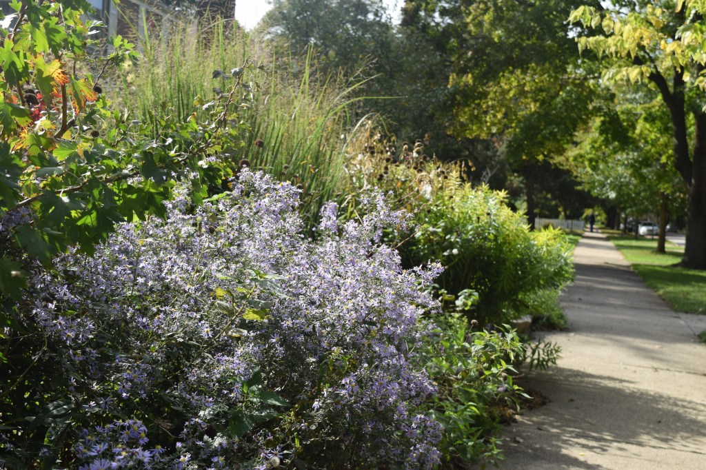 2014-10-05 14.06.25 sidewalk border