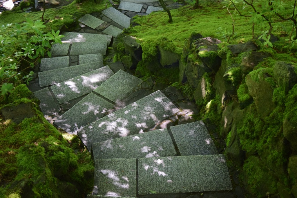Stone steps from above.