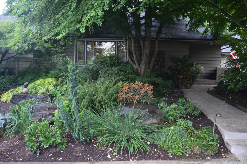 Floramagoria's front garden