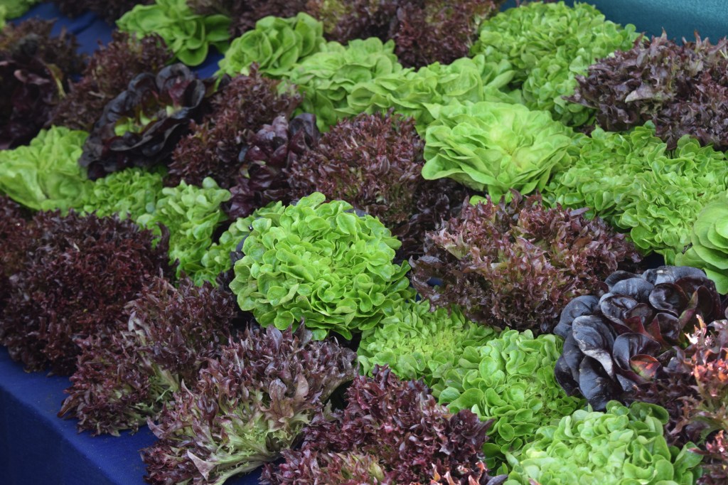 2014-12-21  hollywood farmers market