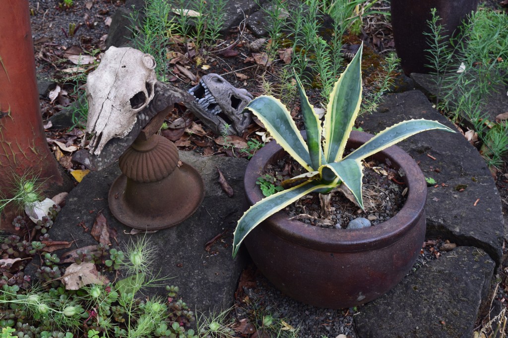 Some skulls for a touch of the macabre.
