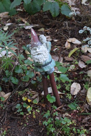 There was a whole little garden devoted to gnomes, but Judy didn't get a chance to take many pictures in there.