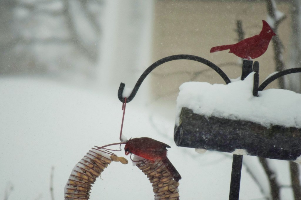 2015-02-01 11.35.57-3