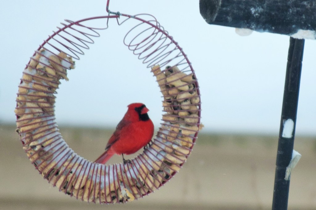 2015-02-02 08.21.52 (2)