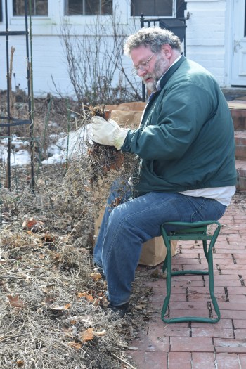 Pulling Nepeta with the help of my garden bench/kneeler.