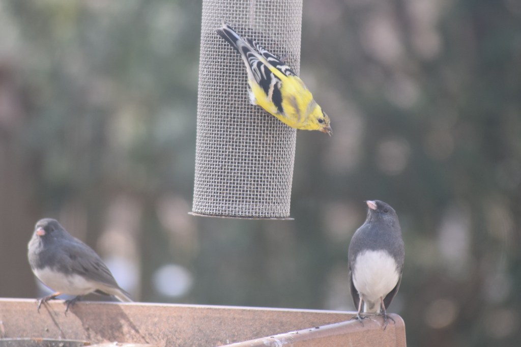 They agree to disagree.