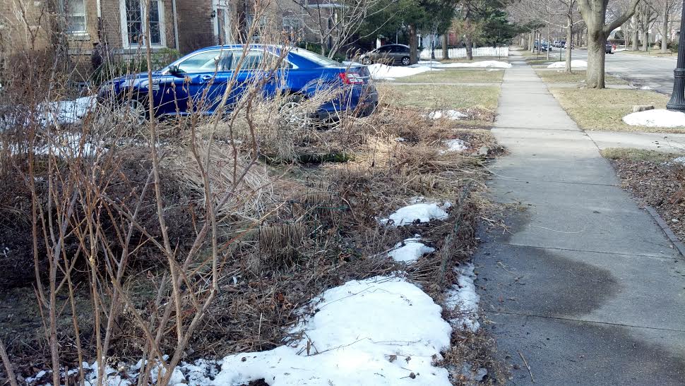 Not too early for spring clean up.