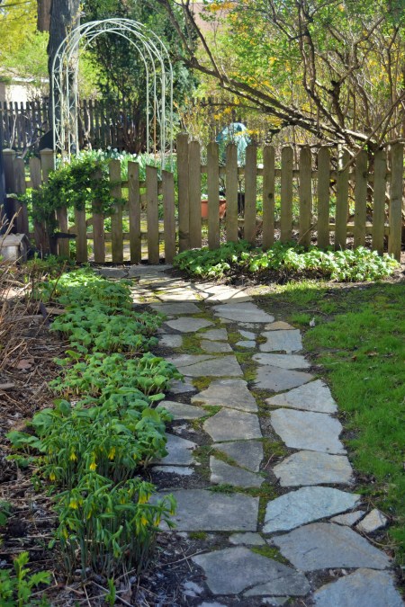 West side of our house.