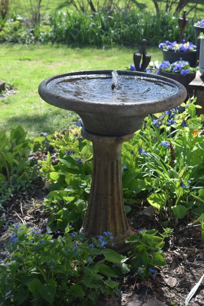 The new fountain, surrounded by blooming Virginia Bluebells and False Forget-Me-Not.