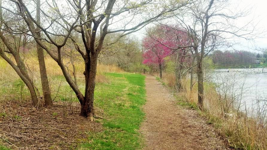 A path along the shore of Lake Springfield, which was created in the 1930s by damming what was then Sugar Creek.