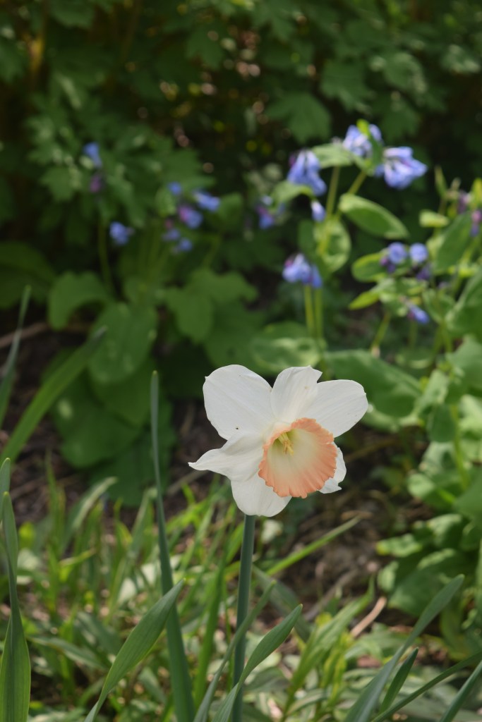 'Sentinel' (I think)