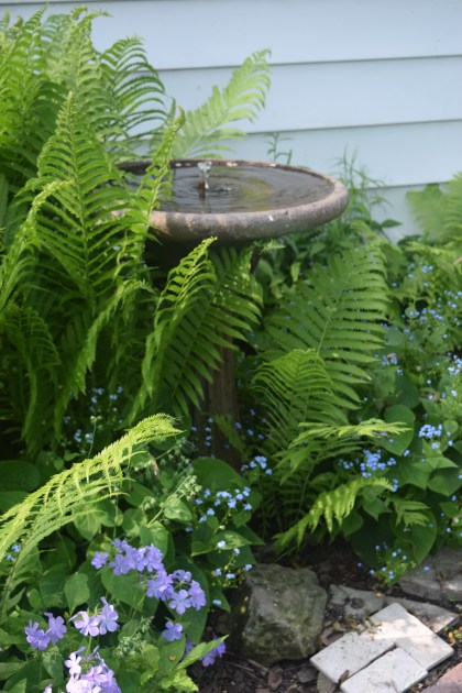 Fountain with Phlox and Brunnera in bloom.