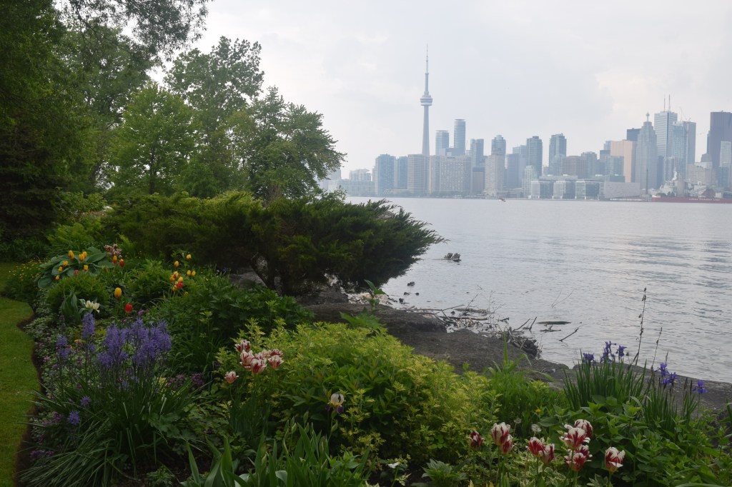 Another view of downtown Toronto, this one from an island garden. Note the tulips, al;ks blooming in June.