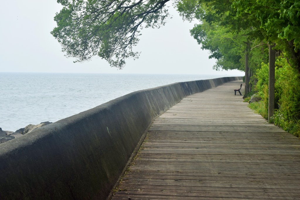 We made use of this bench to contemplate the big lake.