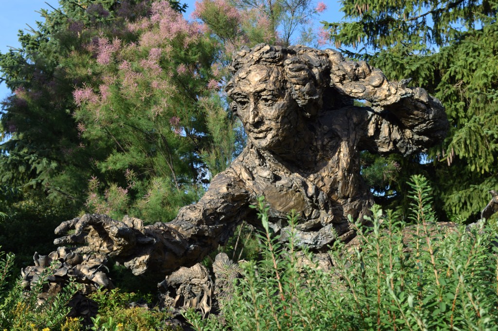 DSC_0208 Carl Linnaeus cbg