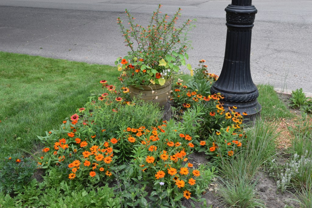 The pot on the stump. 