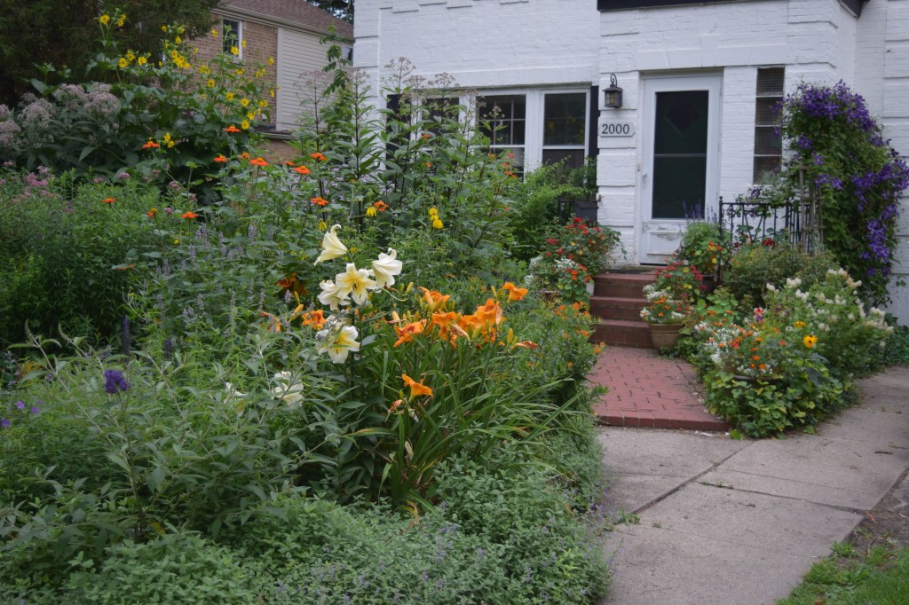 Long view of the Driveway Border.