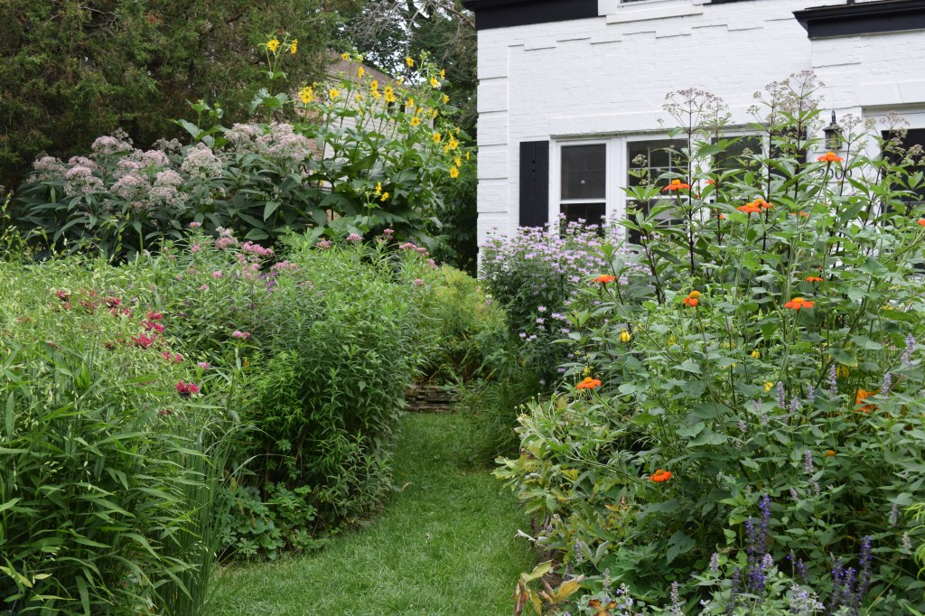 The path between the Front Island Bed and the Driveway Border
