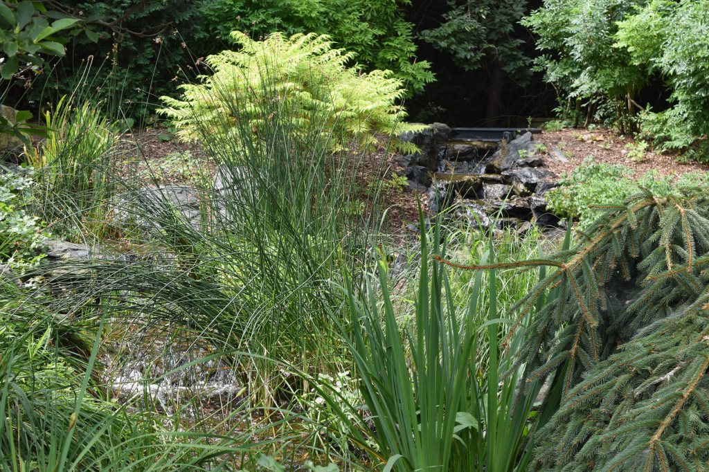 2015-08-14 11.20.03 klehm