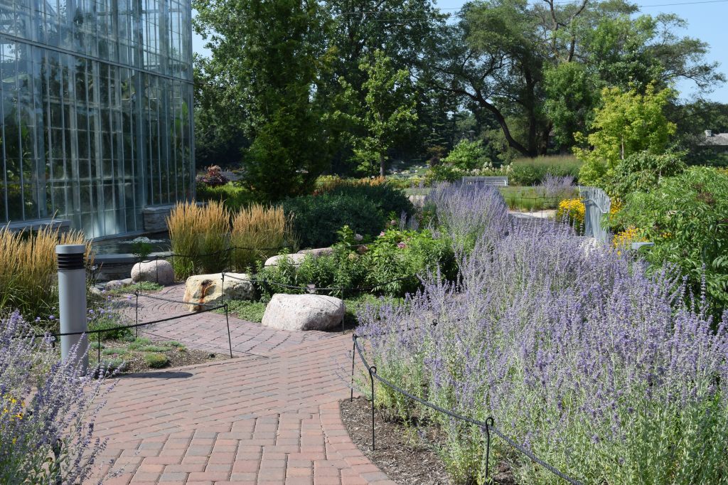 2015-08-14 14.53.27 nicholson