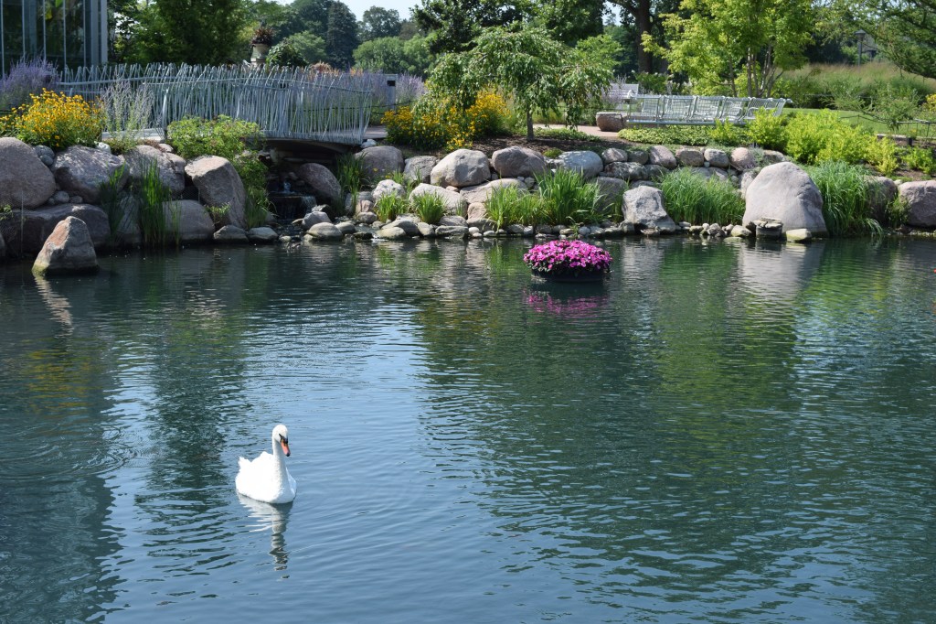 2015-08-14 14.55.50 nicholson