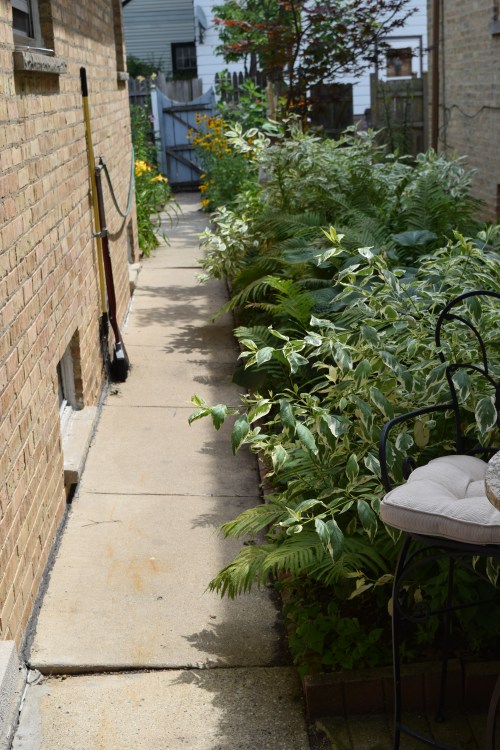 Path between front and back gardens.