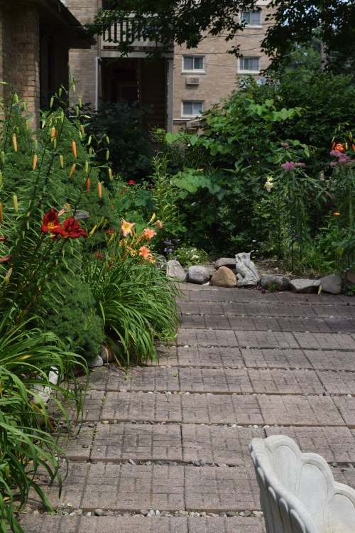 Another view of the back garden.