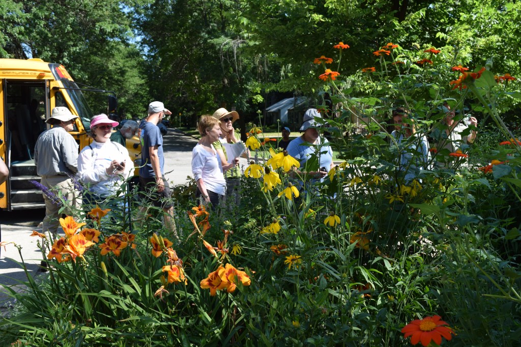 Mexican Sunflower (right) and Yellow Coneflower (left) generated a lot of interest.