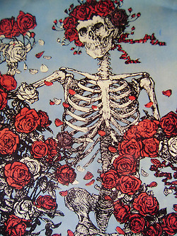 grateful dead roses