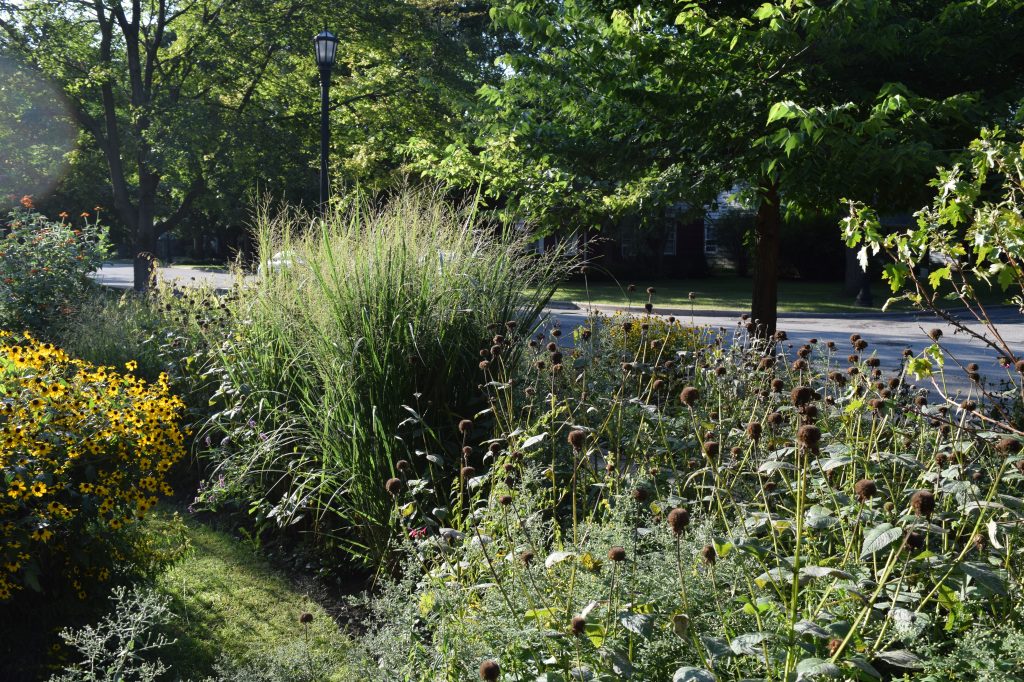 The Sidewalk Border viewed from behind.