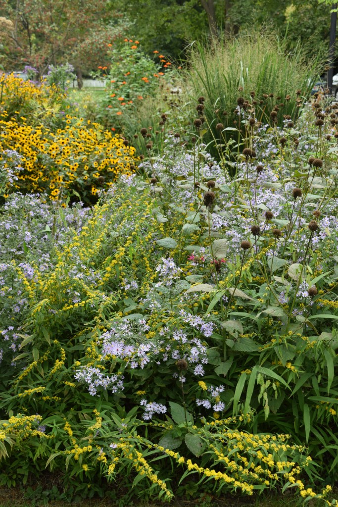 The front garden in late September.