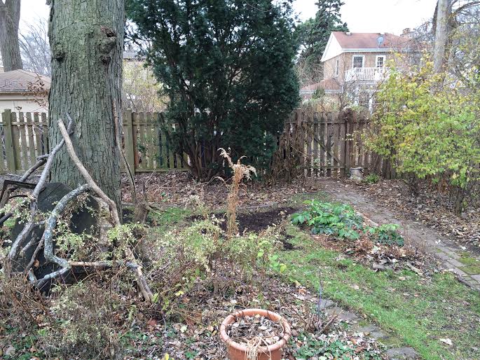 back garden compost 4