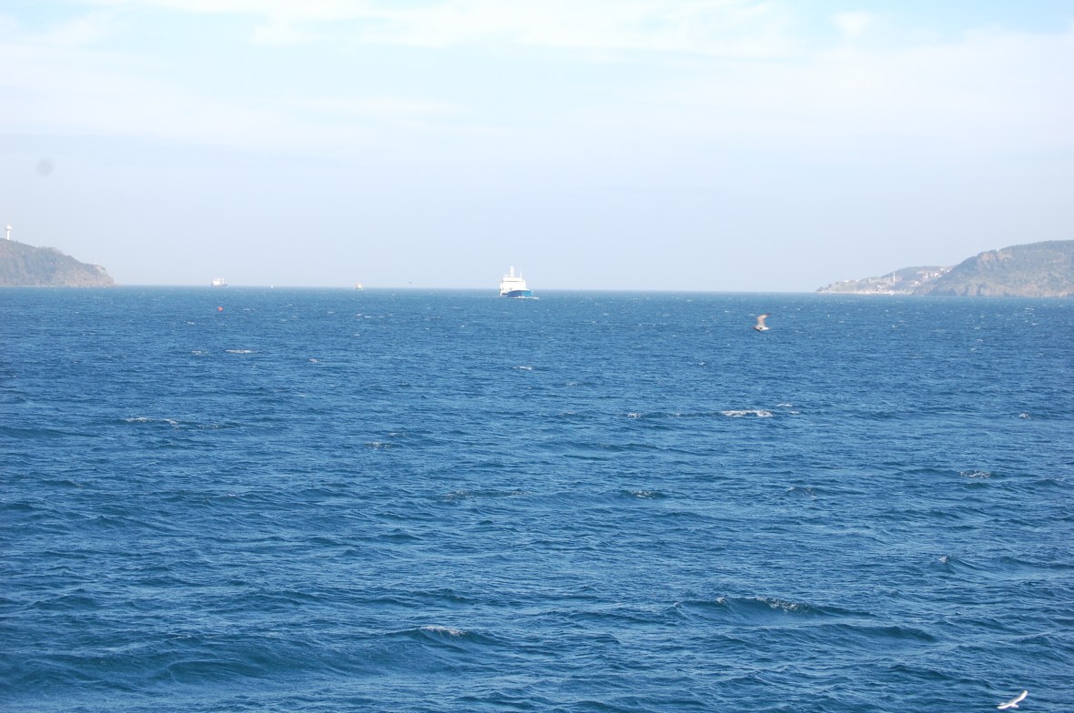 2009-12-26 05.06.48-2