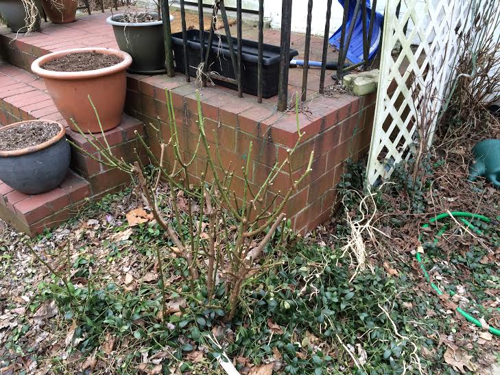 569c870c-7eb7-4911-b728-a12f71879046