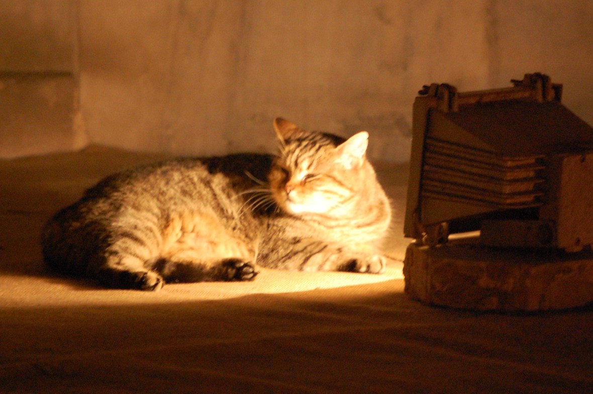 2009-12-24 05.18.40-1