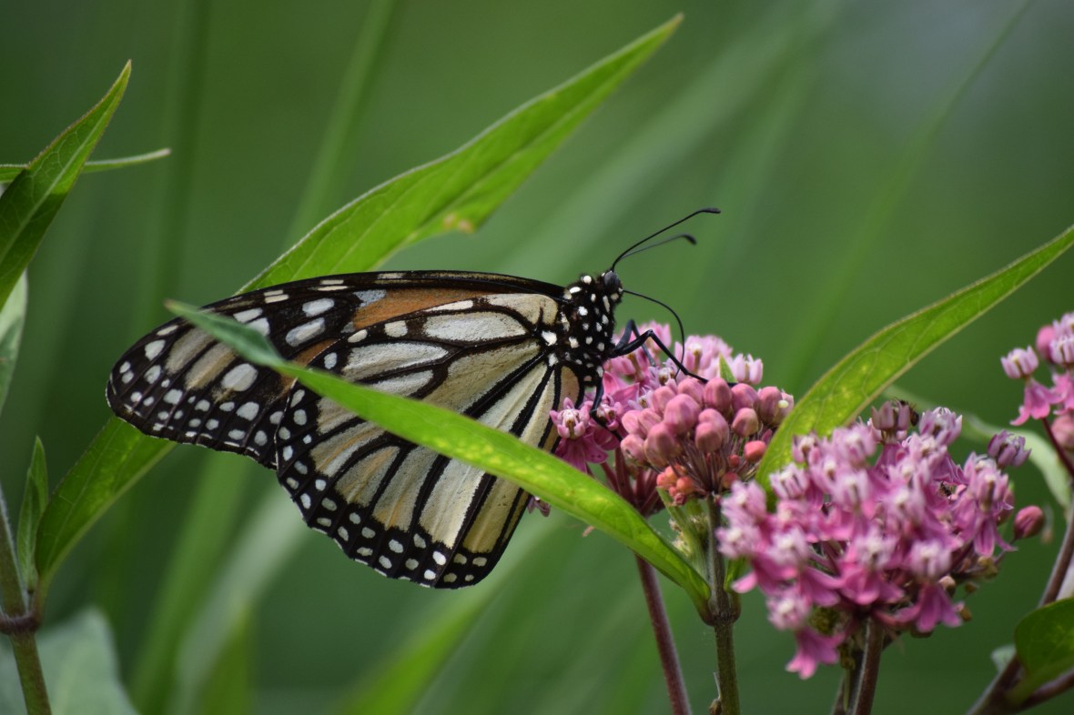 2015-07-06 10.05.05-1