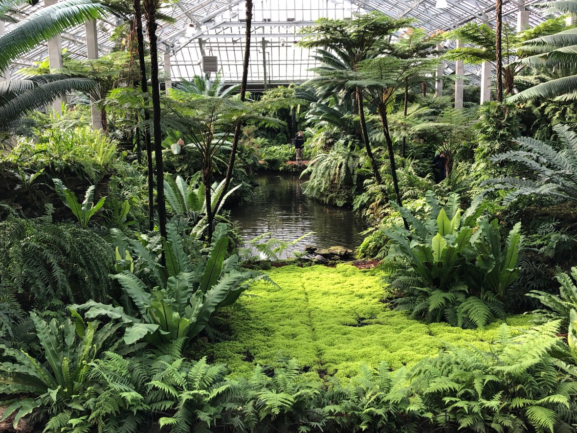 Photo Feb 18, 1 02 02 PM