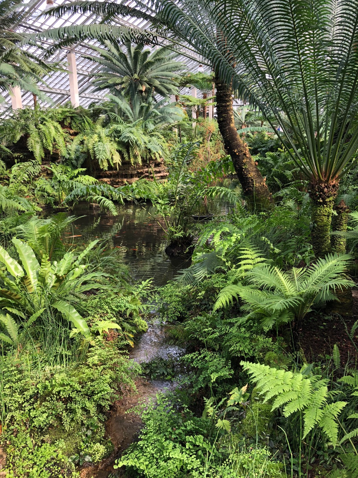 Photo Feb 18, 1 09 43 PM