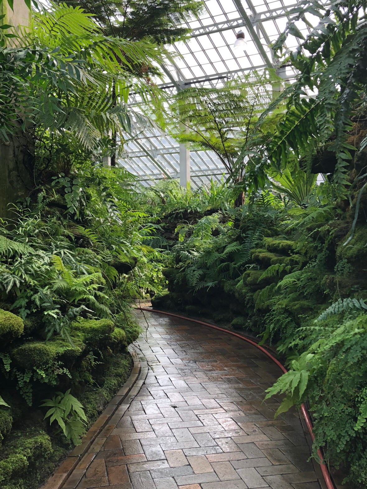 Photo Feb 18, 1 18 17 PM